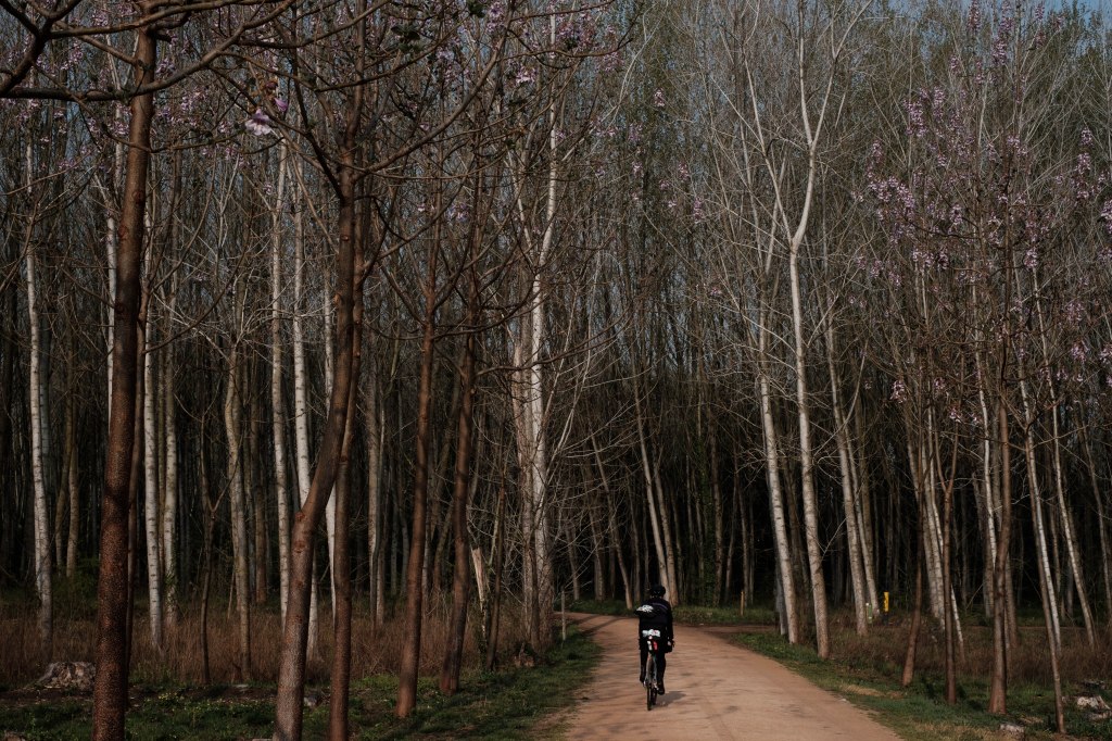 2019-04-PirinexusBikePack_Bulk_29